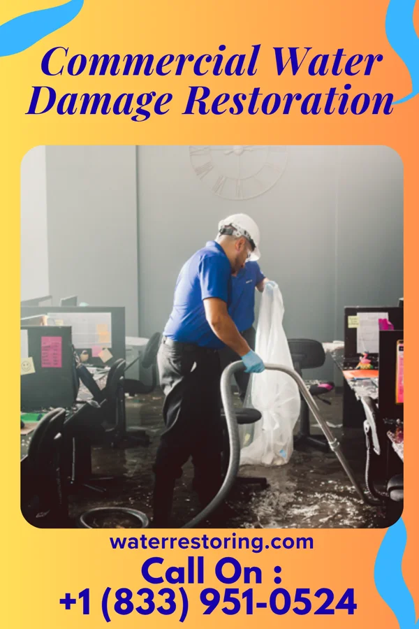 Commercial Water Damage Restoration in Lake Belvedere Estates, FL
