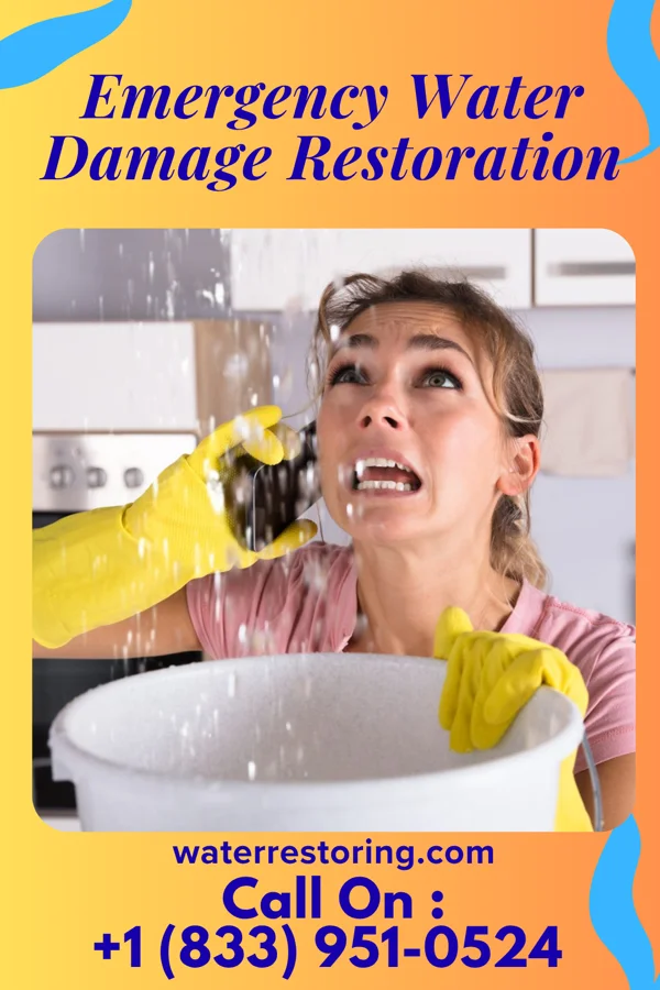 Emergency Water Damage Restoration in Lake Belvedere Estates, FL
