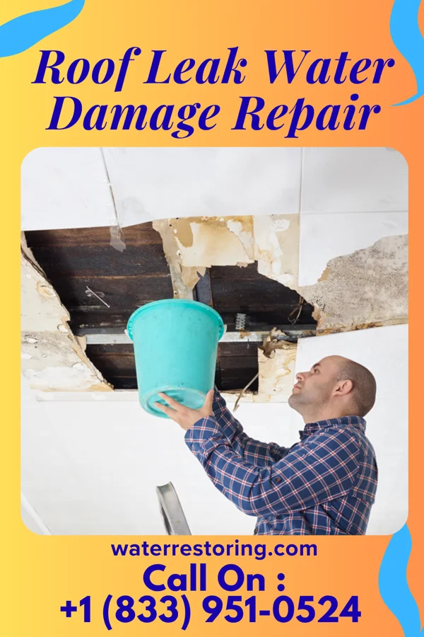 Roof Leak Water Damage Repair in Lake Belvedere Estates, FL